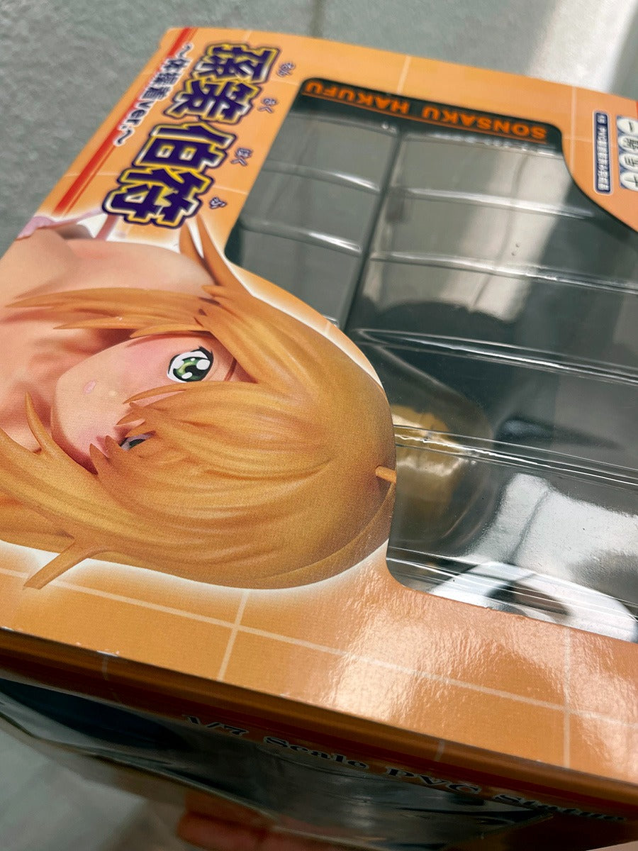 Sonsaku Hakufu Ikkitousen Gym Uniform Sexy