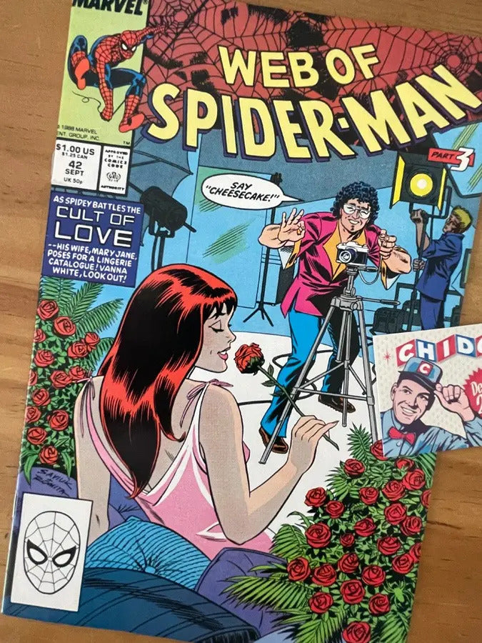 Comic - Web Of Spider-man #42 Mary Jane