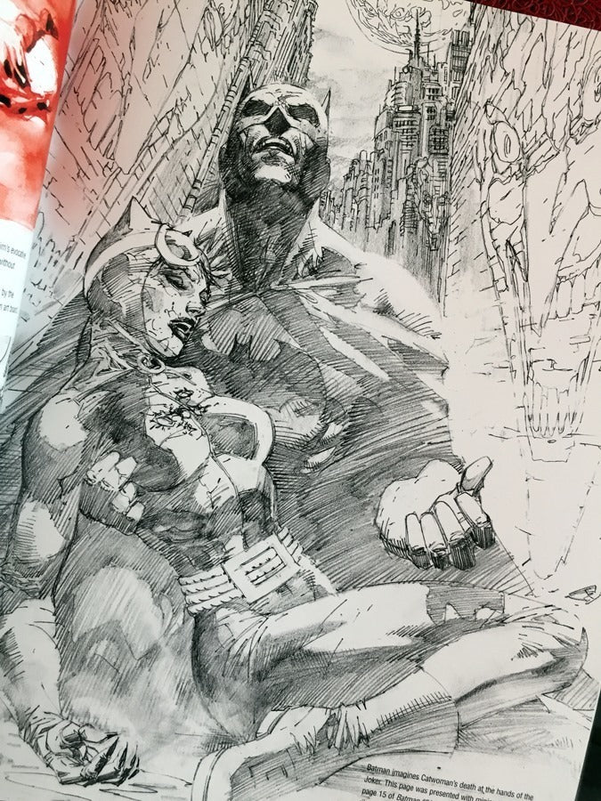 Libro Dc Icons Artbook Jim Lee Scott Williams Alex Sinclair