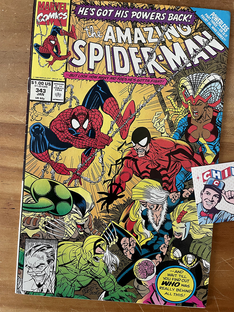 Comic - Amazing Spider-man #343 Erik Larsen Black Cat