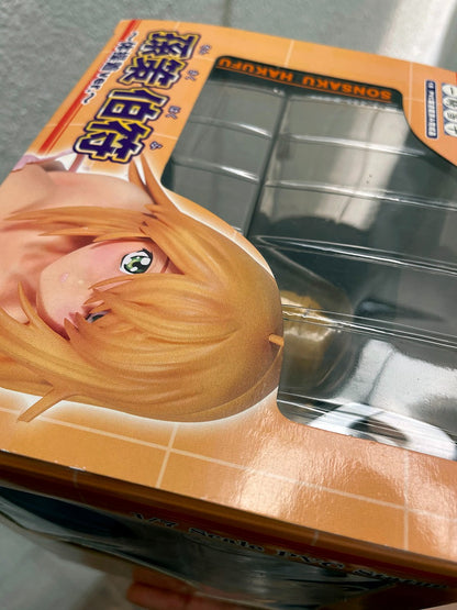 Sonsaku Hakufu Ikkitousen Gym Uniform Sexy