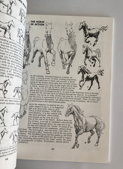 Libro Set - Aprende A Dibujar Libros De Dibujos Jack Hamm