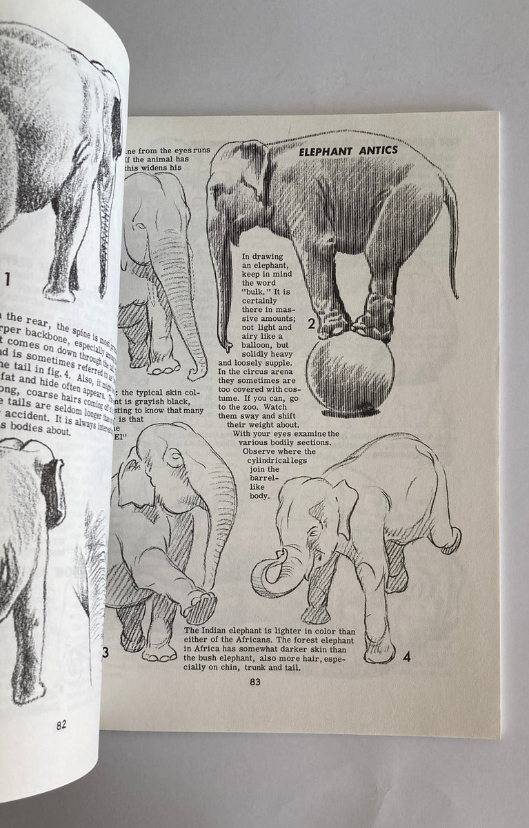 Libro Set - Aprende A Dibujar Libros De Dibujos Jack Hamm