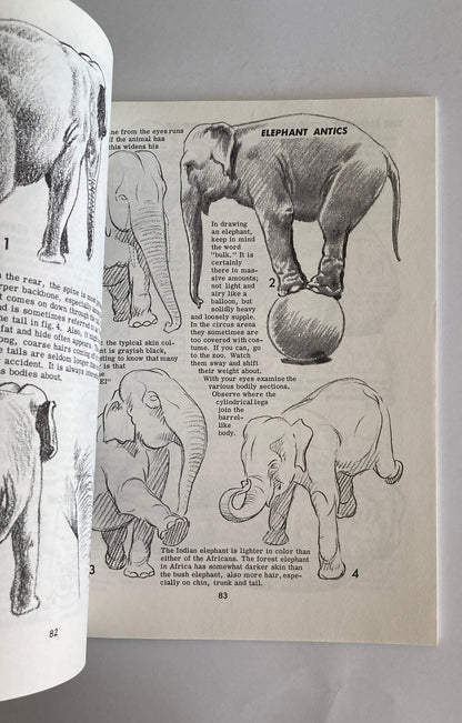 Libro Set - Aprende A Dibujar Libros De Dibujos Jack Hamm