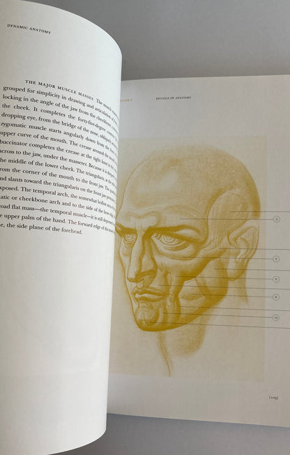 Libro - Dynamic Anatomy Dibujo Anatómico Burne Hogarth