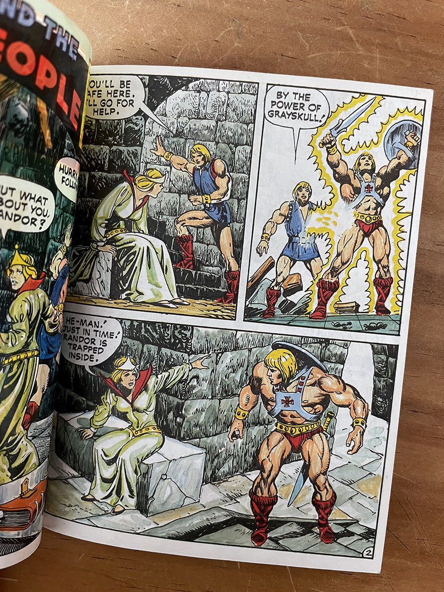 Mini Book - Masters Of The Universe 1982 Mattel Insect Motu