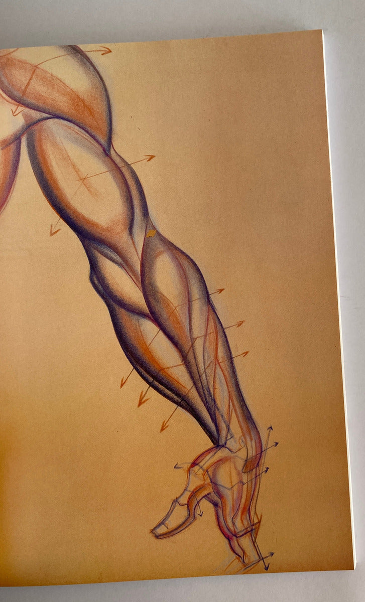 Libro - Dynamic Anatomy Dibujo Anatómico Burne Hogarth