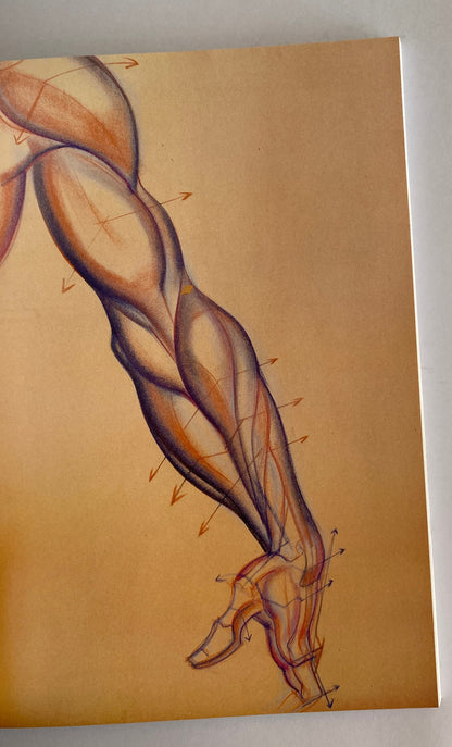 Libro - Dynamic Anatomy Dibujo Anatómico Burne Hogarth