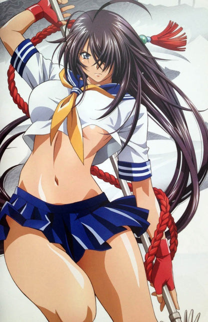 Libro - Rin Sin Visual Art Work Queens Blade Ikkitousen Sexy