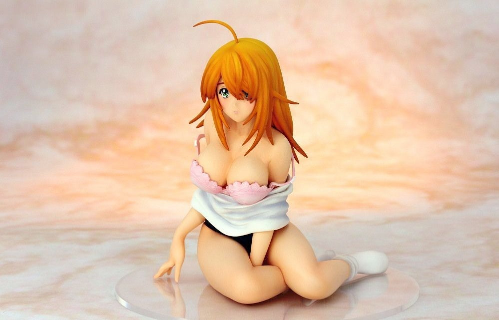 Sonsaku Hakufu Ikkitousen Gym Uniform Sexy