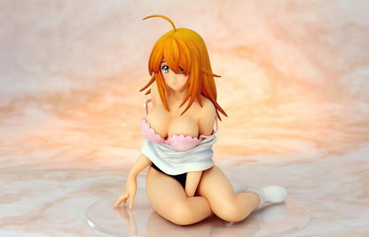 Sonsaku Hakufu Ikkitousen Gym Uniform Sexy