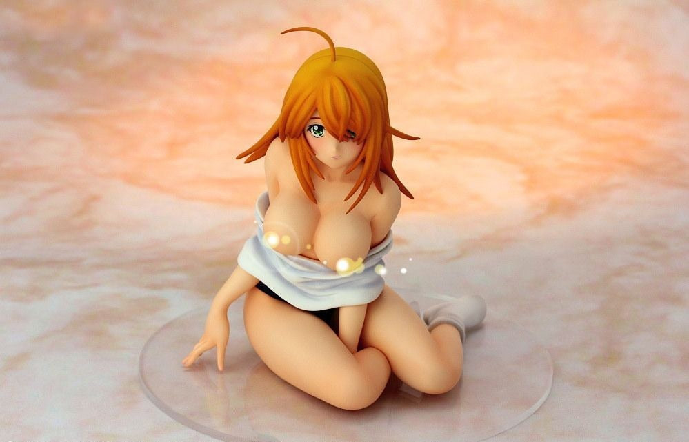 Sonsaku Hakufu Ikkitousen Gym Uniform Sexy