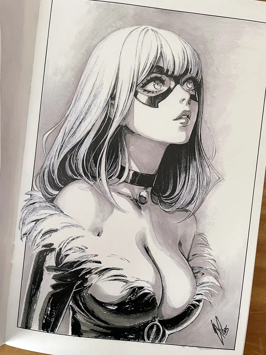 Sketchbook - Blend 5 Warren Louw Invisible Woman Signed