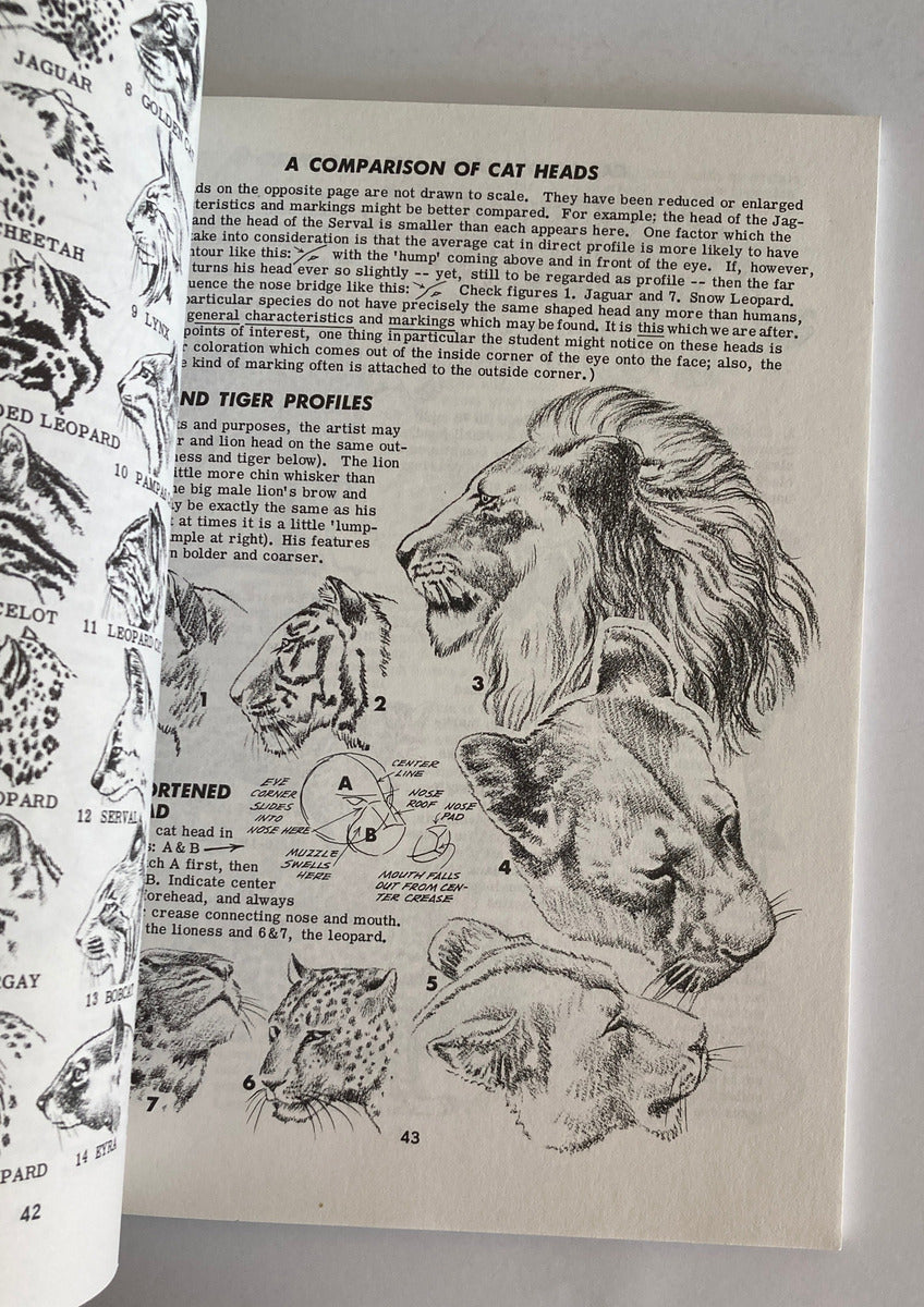 Libro Set - Aprende A Dibujar Libros De Dibujos Jack Hamm