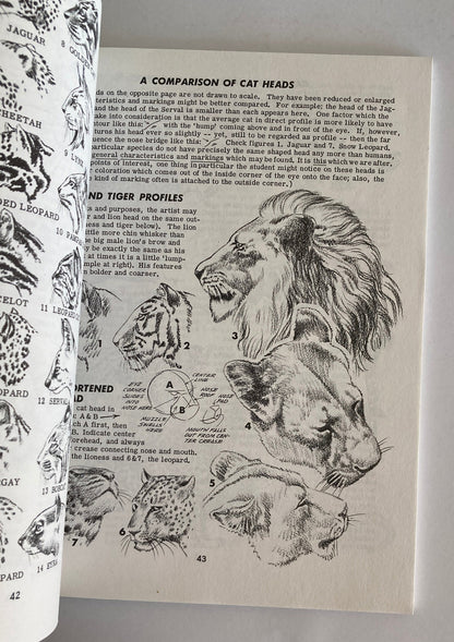 Libro Set - Aprende A Dibujar Libros De Dibujos Jack Hamm