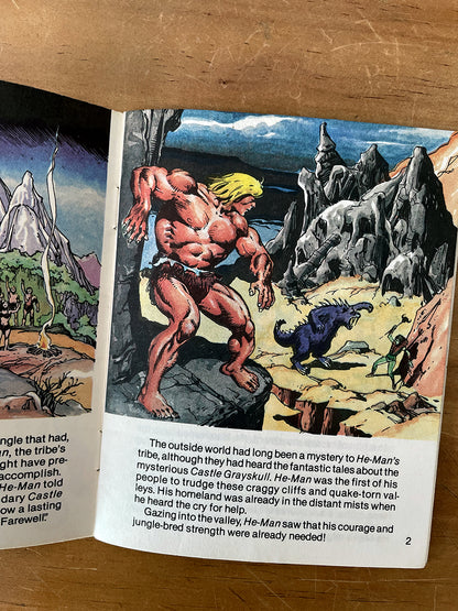 Mini Book - Masters Of The Universe 1981 Mattel He-man Motu